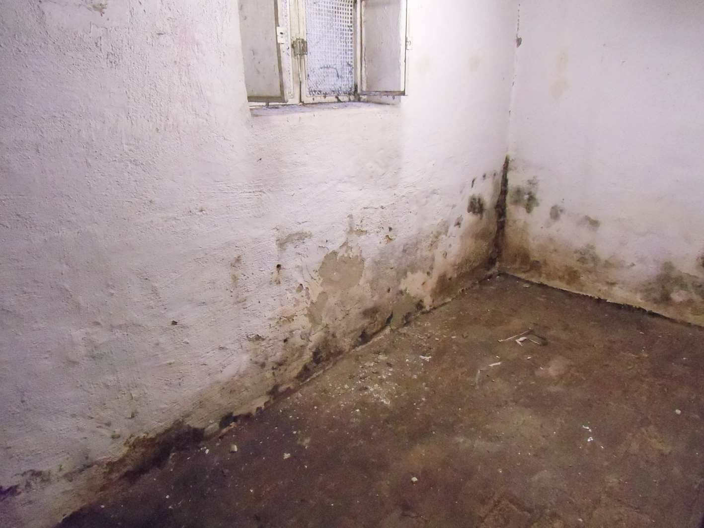 Schimmel im Keller Veihelmann
